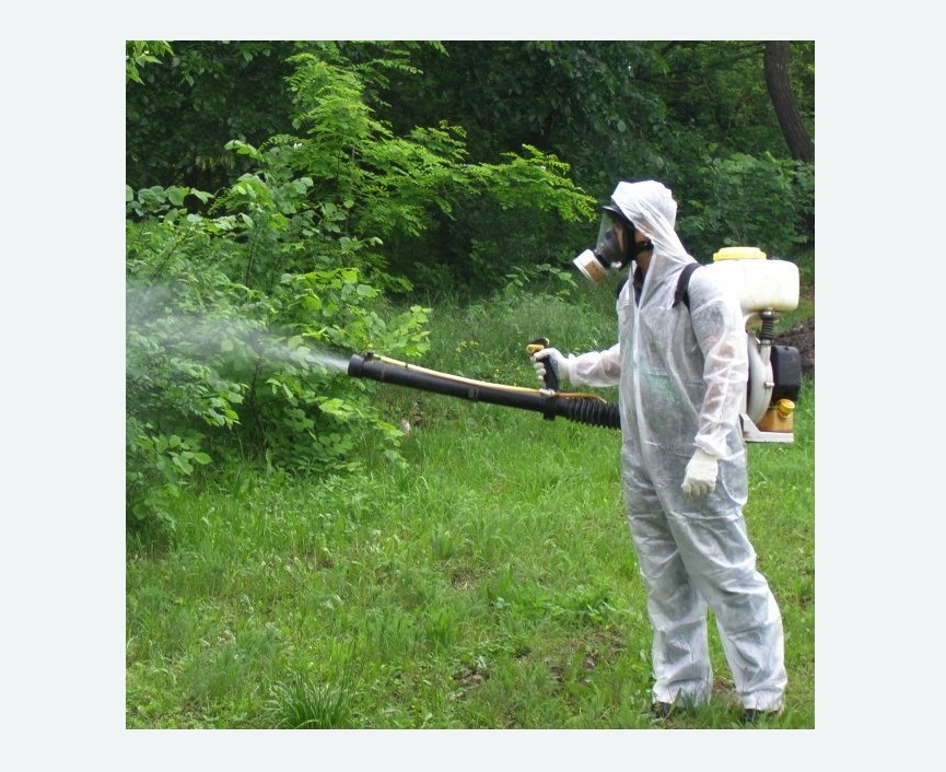 обработка территории от клещей в Камрбарке