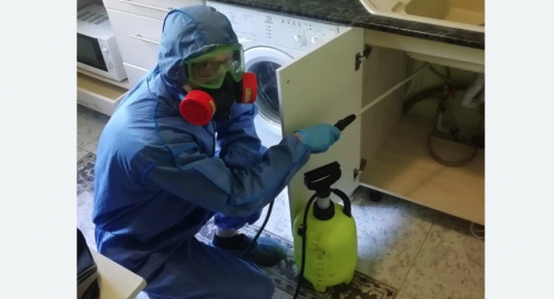 Уничтожение муравьев в квартире. Камбарка