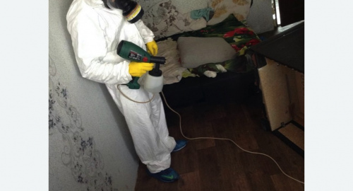 Обработка квартир от насекомых в Камрбарке