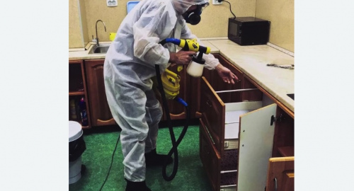 Дезинсекция квартиры. Камбарка