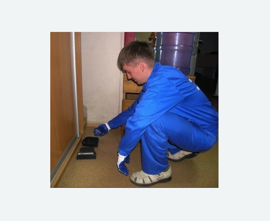 Дератизация крыс в Камрбарке