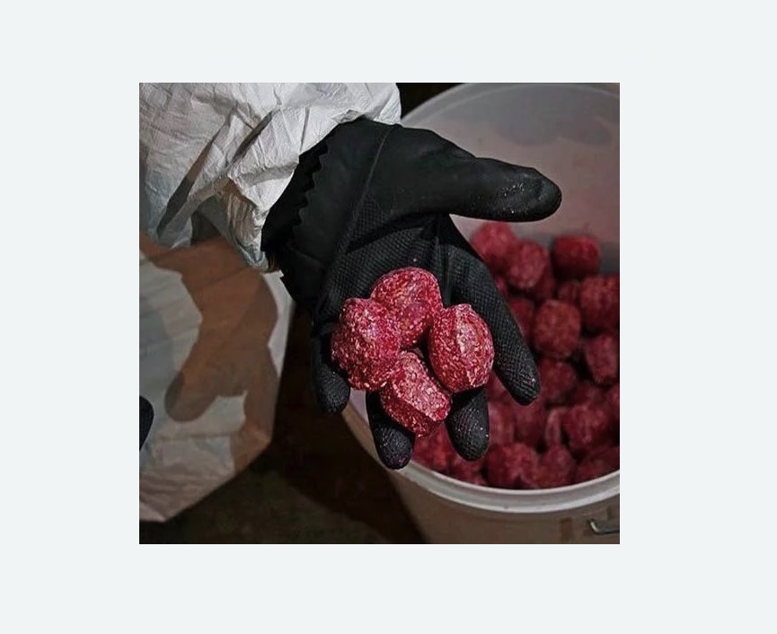 Обработка от крыс в Камрбарке