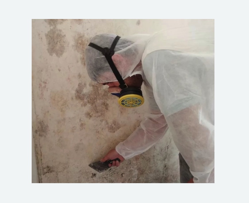 Обработка стен от плесени в Камрбарке