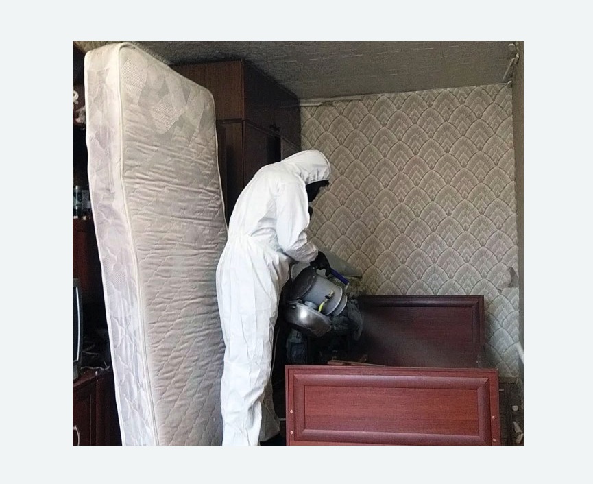 дезинфекция от клопов в Камрбарке