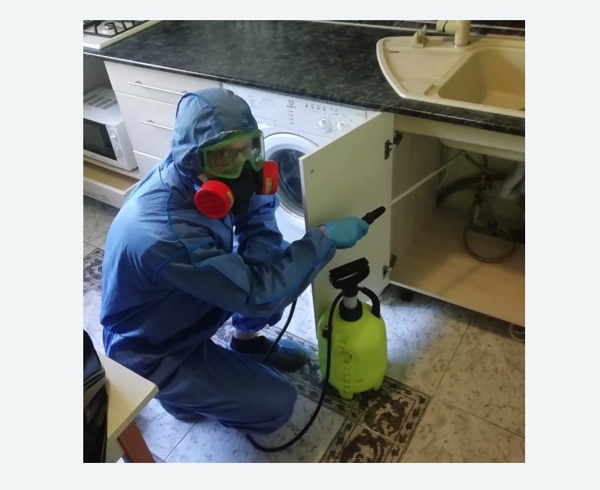 обработка от муравьев в квартире в Камрбарке