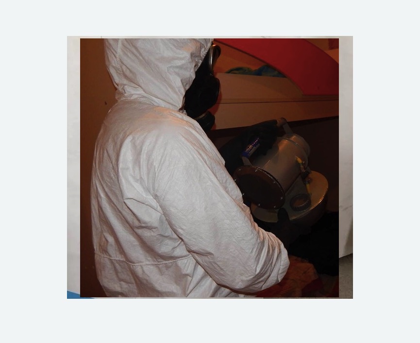 Дезинфекция от муравьев в Камрбарке